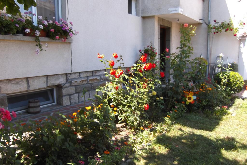 Hotel Borova House Tryavna Esterno foto