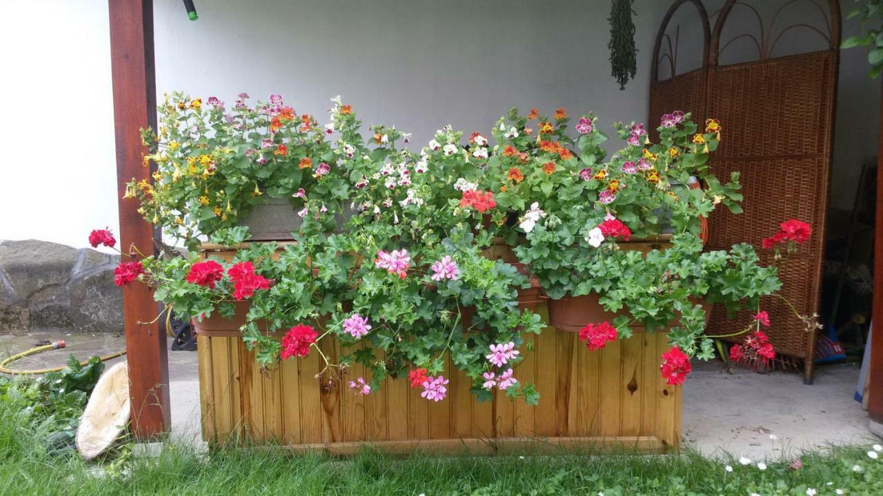 Hotel Borova House Tryavna Esterno foto